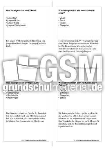 Quiz-Karten-Tiernamen 75.pdf